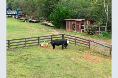 8081 Mud Creek Road, Alto, GA 30510 - Photo 71