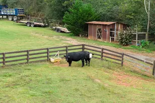 8081 Mud Creek Rd, Alto, GA 30510 - Photo 71