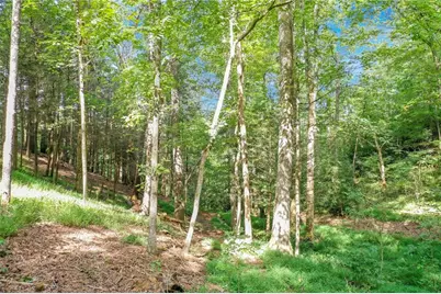 0 Strada Del Vino #10, Dahlonega, GA 30533 - Photo 9