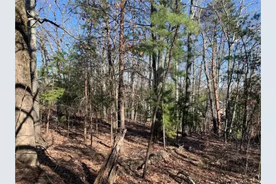 1941 Pine Bluff, Marietta, GA 30062 - Photo 3