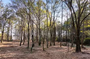 264 Euharlee Rd SW, Cartersville, GA 30120 - Photo 35