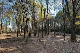 264 Euharlee Rd SW, Cartersville, GA 30120 - Photo 41