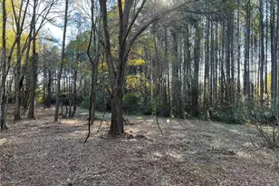 264 Euharlee Rd SW, Cartersville, GA 30120 - Photo 43