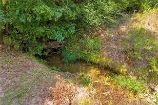 869 Ankerich Rd, Bowersville, GA 30516 - Photo 29