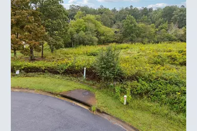 877 Sweetgrass Court, Demorest, GA 30535 - Photo 3