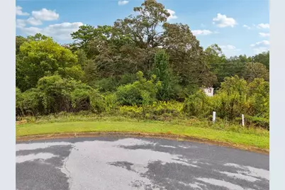 1132 Sydney Lane, Demorest, GA 30535 - Photo 3