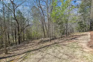 330 Lake Dr, Dawsonville, GA 30534 - Photo 35