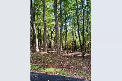 402 South View Trail, Jasper, GA 30143 - Photo 5