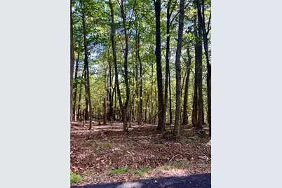 402 South View Trail, Jasper, GA 30143 - Photo 3