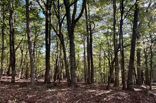 402 S View Trail, Jasper, GA 30143 - Photo 1