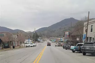 574 Bachelors Button Dr, Clayton, GA 30525 - Photo 23