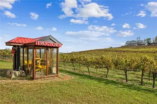 124 Candy Man Ln, Dahlonega, GA 30533 - Photo 33