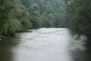 152 33rd St, Ellijay, GA 30540 - Photo 15