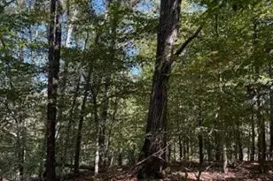 1255 Norton Rd NE, Conyers, GA 30012 - Photo 25