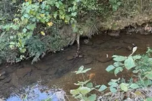 1255 Norton Rd NE, Conyers, GA 30012 - Photo 21