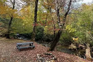 130 Cove View Ln, Clarkesville, GA 30523 - Photo 23