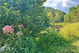 130 Cove View Ln, Clarkesville, GA 30523 - Photo 21