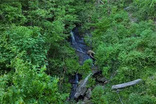 130 Cove View Ln, Clarkesville, GA 30523 - Photo 31