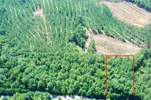 165 Jamesway Dr, Sparta, GA 31087 - Photo 1