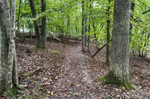 45 Lakepoint Dr, Dawsonville, GA 30534 - Photo 69