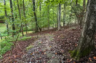 45 Lakepoint Dr, Dawsonville, GA 30534 - Photo 63