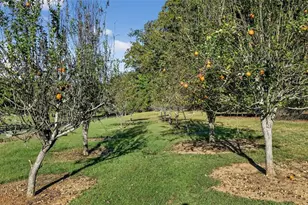 175 Tom Jones Rd, Kingston, GA 30145 - Photo 59