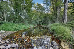 175 Tom Jones Rd, Kingston, GA 30145 - Photo 61