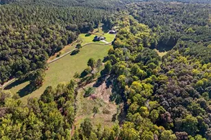 175 Tom Jones Rd, Kingston, GA 30145 - Photo 53