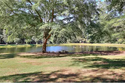 3520 Tom Brewer Road, Loganville, GA 30052 - Photo 3