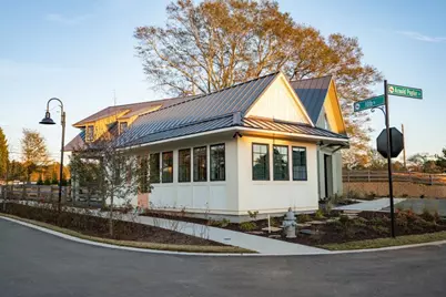 46 Spirea Way Lot 64, Auburn, GA 30011 - Photo 43