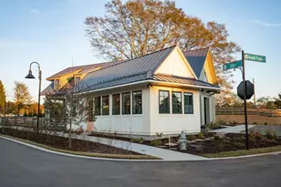 46 Spirea Way Lot 64, Auburn, GA 30011 - Photo 43