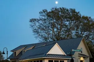 46 Spirea Way Lot 64, Auburn, GA 30011 - Photo 53