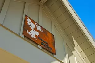 46 Spirea Way Lot 64, Auburn, GA 30011 - Photo 61