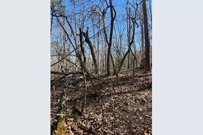 125 Gum Wood Court, Waleska, GA 30183 - Photo 3