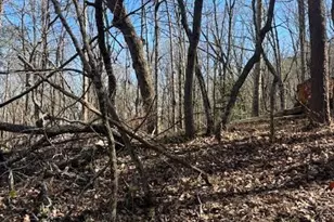 125 Gum Wood Ct, Waleska, GA 30183 - Photo 3