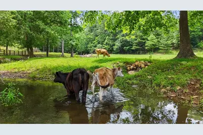 7945 Reinhardt College Parkway, Waleska, GA 30183 - Photo 11