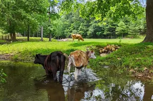 7945 Reinhardt College Pkwy, Waleska, GA 30183 - Photo 11