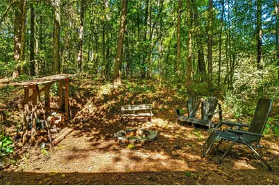 161 W Mountain Oak Street, Canton, GA 30115 - Photo 33