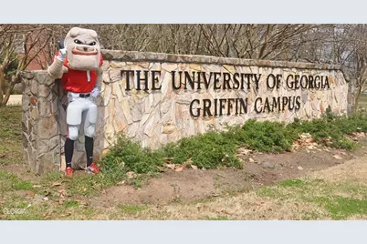 1156 Burgundy Drive, Griffin, GA 30223 - Photo 31