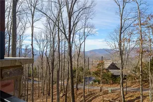4474 Twiggs Rd, Young Harris, GA 30582 - Photo 51