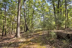 3115 Chimney Cove Ln, Cumming, GA 30041 - Photo 23