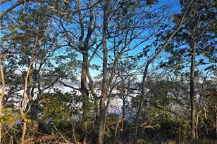 8442 Scenic Hwy, Rising Fawn, GA 30738 - Photo 3