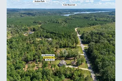 425 Boynton Road, Hampton, GA 30228 - Photo 55