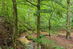 5717 Meadow View Dr, Jefferson, GA 30549 - Photo 59