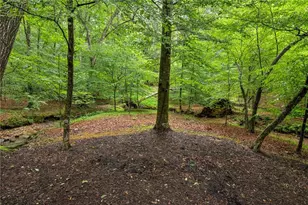 5717 Meadow View Dr, Jefferson, GA 30549 - Photo 61