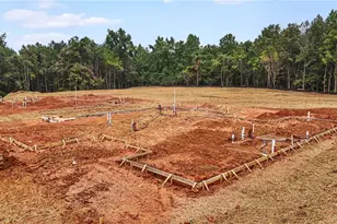 3255 Smithtown Rd Lot 3, Suwanee, GA 30024 - Photo 25