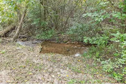 385 Amys Road, Clarkesville, GA 30523 - Photo 43