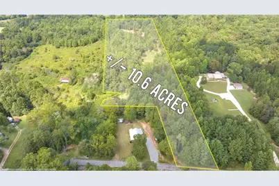 385 Amys Road, Clarkesville, GA 30523 - Photo 51