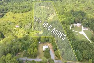 385 Amy's Rd, Clarkesville, GA 30523 - Photo 51