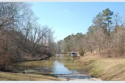 2771 Carey Station Rd Street, Greensboro, GA 30043 - Photo 3